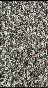 Cotton Seed Delontor