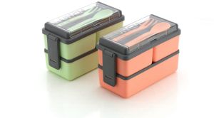 Dual Lunch Box With Spoon and Fork