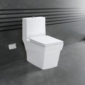 Dover Ceramic Floor Mounted Water Closet