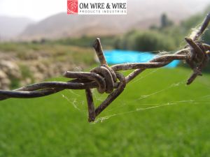 Barbed Wire