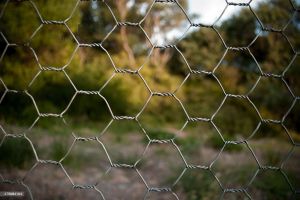 Hexagonal Wire Mesh
