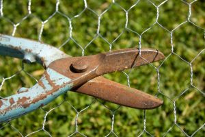 Hexagonal Wire Mesh