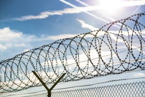 Wire Mesh Fence
