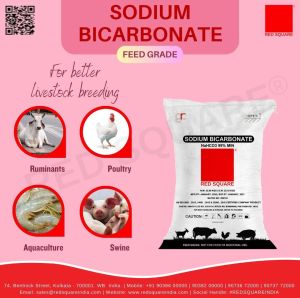 Sodium Bicarbonate Feed Grade