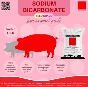 Sodium Bicarbonate Feed Grade