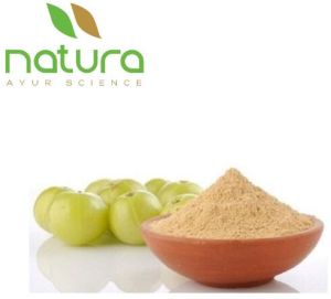 Natura Ayur  Amla Extract Powder