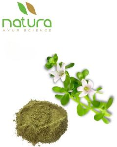 Natura Ayur  Bacopa Extract Powder