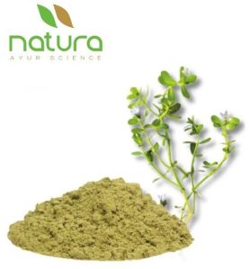 Natura Ayur  Bacopa Extract Powder