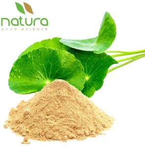 Natura Ayur  Centella Extract Powder