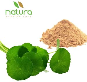 Natura Ayur  Centella Extract Powder