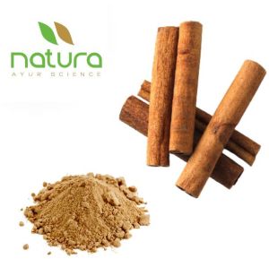 Natura Ayur Cinnamon Extract Powder