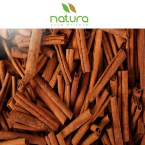 Natura Ayur Cinnamon Extract Powder