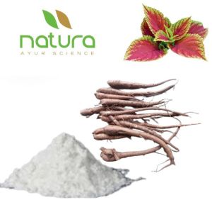 Natura Ayur  Coleus Extract Powder