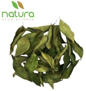 Natura Ayur Fresh Curry Leaves