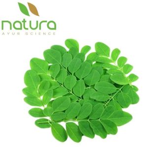 Natura Ayur Moringa Extract Powder