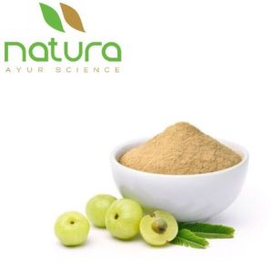 Natura Ayur Amla Extract Powder