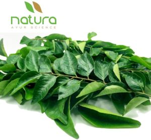 Natura Ayur Dried Curry Leaves