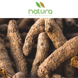 Natura Ayur Turmeric Extract Powder
