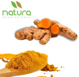 Natura Ayur Turmeric Extract Powder