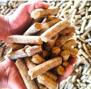 Biomass Pellet