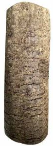 Groundnut Shell Briquette