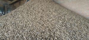 Biomass Pellet