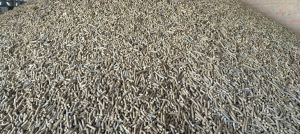 Biomass Pellet