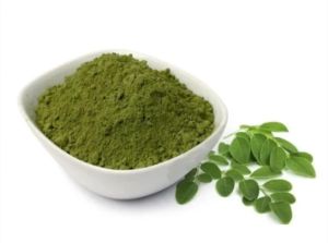 Moringa Oleifera