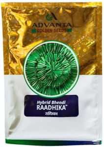 radhika advanta okra seeds