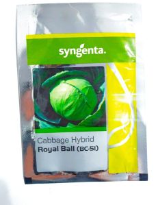 Seminis Millenium 111 Cabbage Seeds