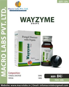 fungal diastase pepsin wayzyme syrups