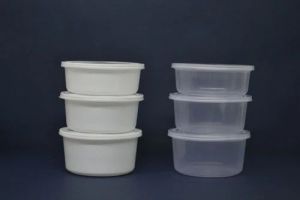 Disposable Food Container