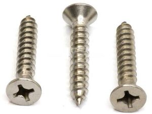 Stainless Steel Self Tapping Screw