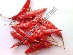 Guntur Dry Red Chilli