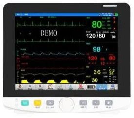 Portable Patient Monitor