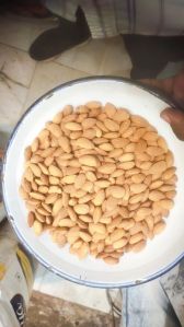 Almond Nuts