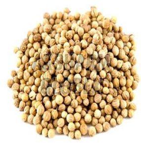 Coriander Seeds