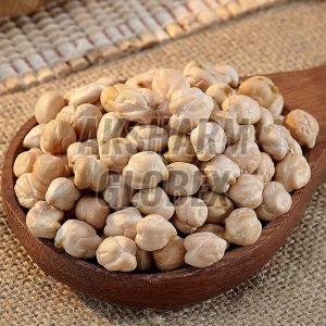 Kabuli Chickpeas