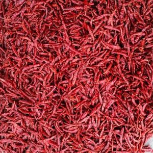 Dry Red Chilli