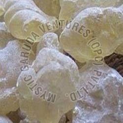 Gum Damar