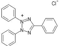 2,3,5-Triphenyl Tetrazolium Chloride