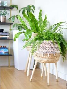 Charming Rattan Plant Stand