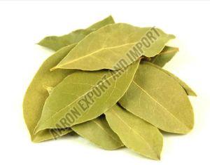 Bay Leaf