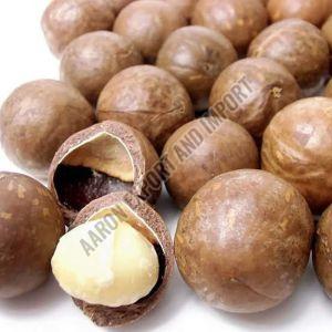 Macadamia Nuts