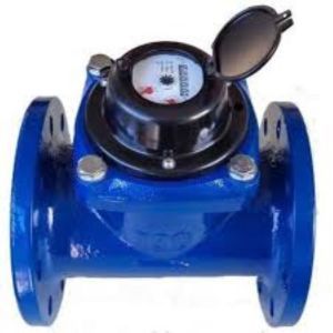 Removable Element Woltman Cold & Hot Water Meter