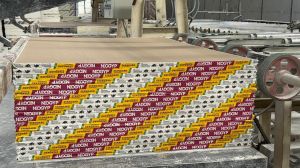 NEOGYP Heat Protect Gypsum Board