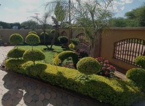 Landscaping Services