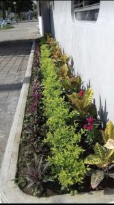 Landscaping Services