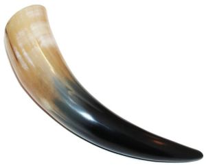 Drinking Horn