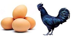 Brown Kadaknath Chicken Egg